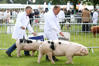 Royal Three Counties Show 2017. Friday 16th of June 2017.